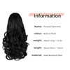 HEWEICSY Ponytail Extension, Clip on Ponytails for Women, 12" Claw