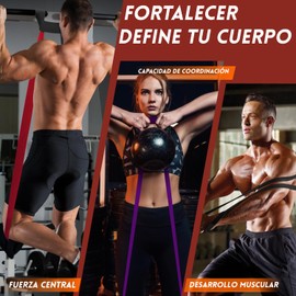 3 Piezas Bandas Elásticas Para Ejercicios,10-50lbs Juego De Bandas Elásticas Para Hombres Y Mujeres,Bandas Elásticas Con Anclaje De Puerta Y Bolsa Para Entrenamiento De Resistencia,Fitness En Casa
