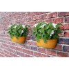 elho Vibia Campana Wall Basket 35 - Planter for Balcony
