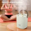 1.2L Double Spray Humidifier with Night Light USB Powered Large