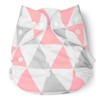 Cloth Diaper (Pink Triangles)
