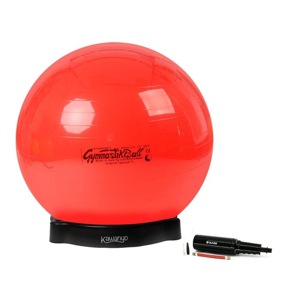 Original Pezzi Ball Standard 75 cm Red with Ball Bowl and Pump Combi Gymnastics Ball