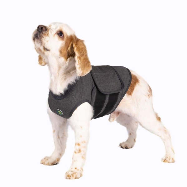 Calming Vest: Anxiety and Stress Relief for Dogs - Dog