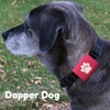 Dapper Dog Pet Tag Silencer and AirTag Holder (Pink with
