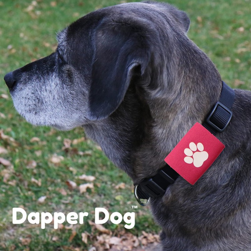 Dapper Dog Pet Tag Silencer and AirTag Holder (Pink with