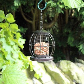 HomeZone Mini Caged Lantern nut and peanut Bird Feeder Garden Accessories and Bird Care (Lantern Bird NUT Feeder)