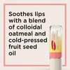 Carmex Comfort Care Lip Balm Sticks with Colloidal Oatmeal, Watermelon