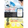 Hoshikiba Pineapple Enzyme Supplement, Nutritional Functional Food, Condensed 1 Pineapple