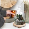 iplusmile Preserved Flower Glass Dome with Wooden Base Flat Bottom