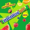 Mentos Discovery 14 Flavour Chews (1 Pack of 5 Rolls)