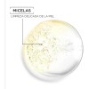 Kit Micelar Garnier Bifásica 400ml + Pads Desmaquillantes