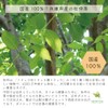 Marche Pure Tea Tea Pack Made in Japan, 0.07 oz