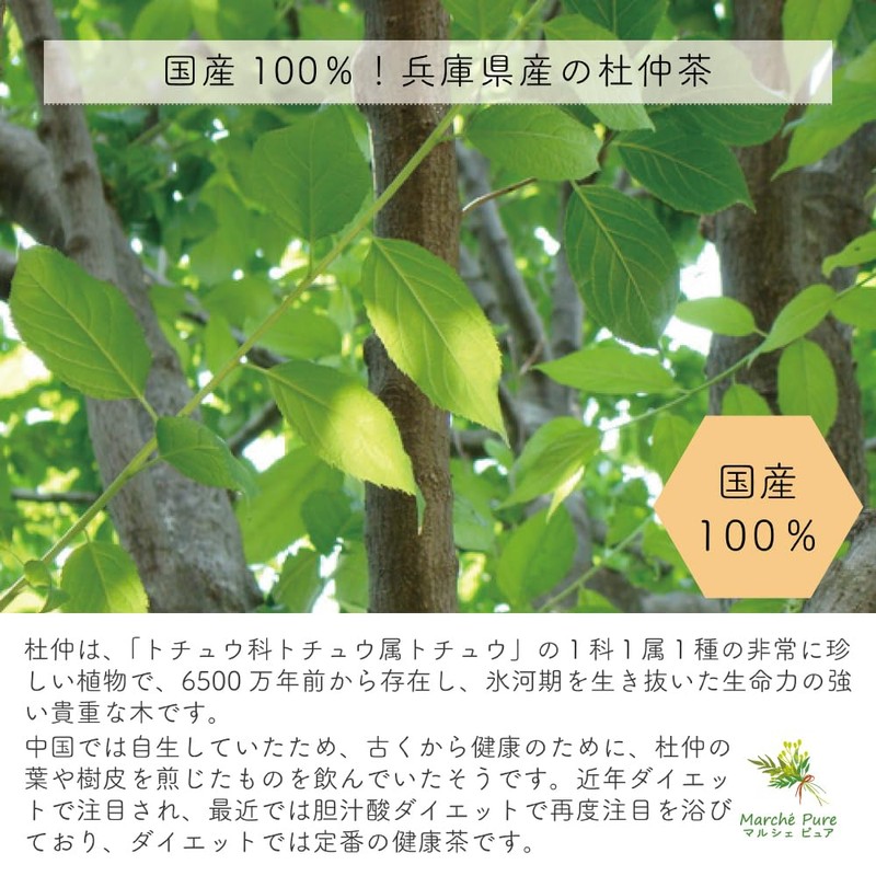 Marche Pure Tea Tea Pack Made in Japan, 0.07 oz