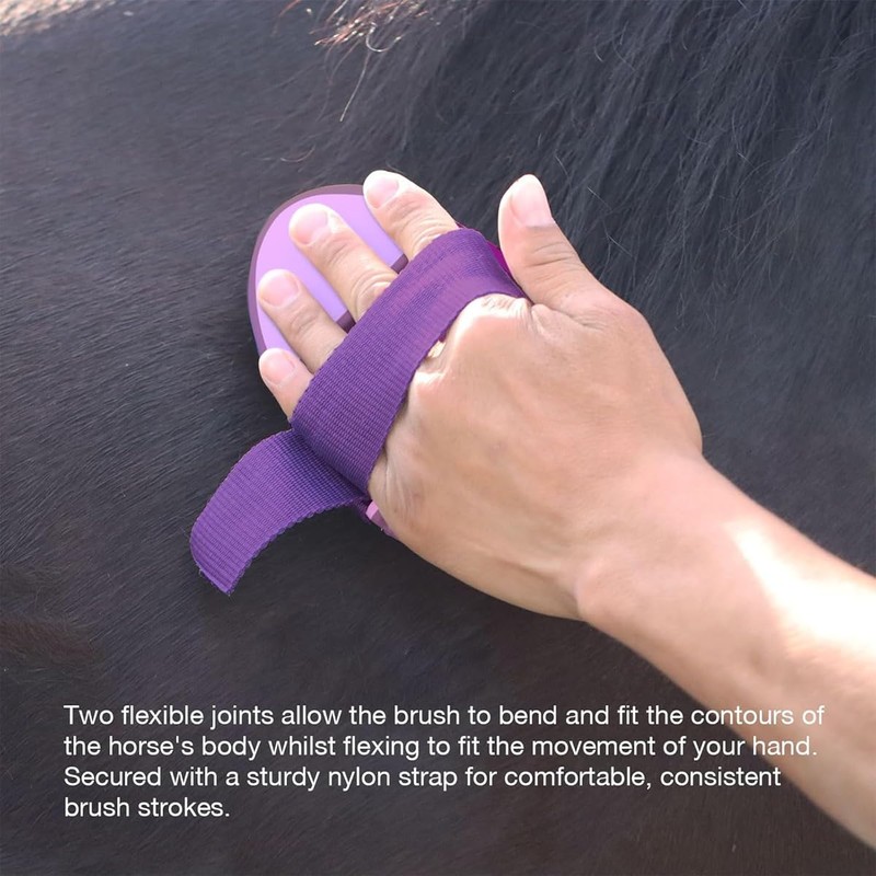 AIMALL Oval Horse Cleaning Brush - Versatile Riding Comb with