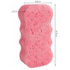 Spongeables Body Wash in a 20+ Wash Sponge, Sweet Grapefruit,