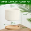 ZOUTOG 12 Pack Ceramic Succulent Pots,4 Inch Plant Pots,Succulent Planters