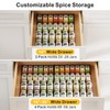 iSPECLE 4 Pack Spice Drawer Organizer - Low Profile Rack