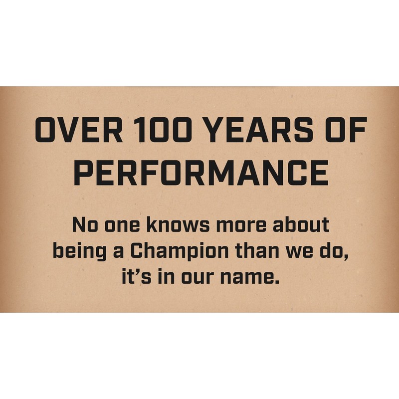 Champion Copper Plus Small Engine 979 Spark Plug (Carton of