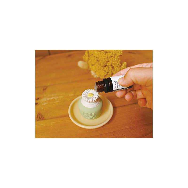 Aroma Stone & Cover GR AG-28856