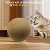 Interactive Wooden Scratch and Exercise Toy - Natural Sisal Scratching
