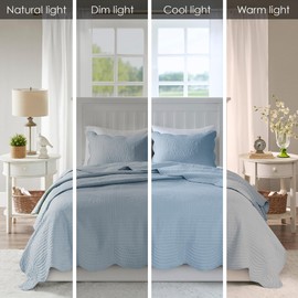 Madison Park Quilt Set Damask Medallion Quilting with Scallop Edge, Cottage Coverlet for Queen Size Bed, All Seasons, Lightweight Cotton Coverlet Bedspread, Shams, Tuscany, Full/Queen Blue 3 Piece