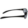 Fieldgate Sunglasses 6479 Men's Smoke Japan Free Size
