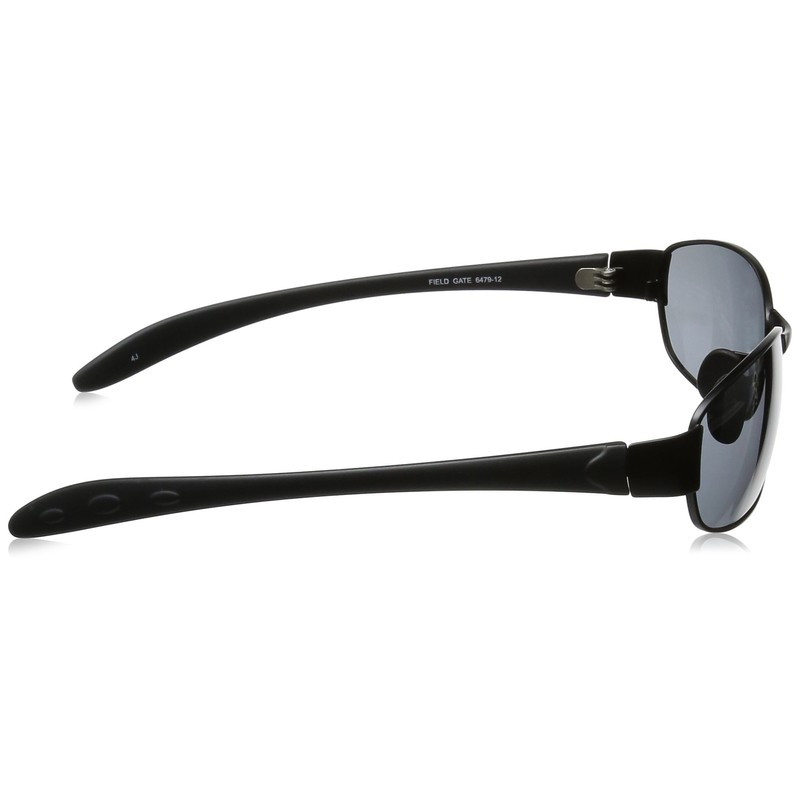 Fieldgate Sunglasses 6479 Men's Smoke Japan Free Size