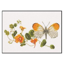 Thea Gouverneur - Kreuzstich-Set - Ostindischer Kirschschmetterling - Aida - 18 Count - Für Erwachsene - 437A