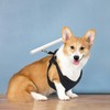 pranovo Dog Safety Collar Prevent The Puppy Escaping from Fence