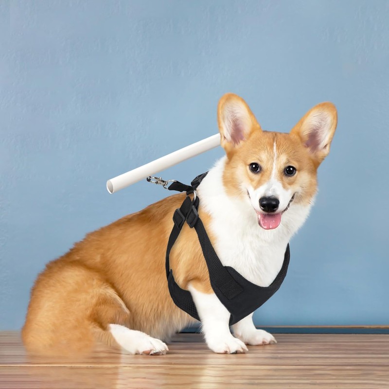 pranovo Dog Safety Collar Prevent The Puppy Escaping from Fence
