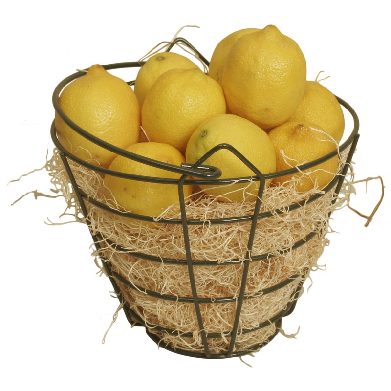 Wald Imports Green Metal Golf Ball Bucket