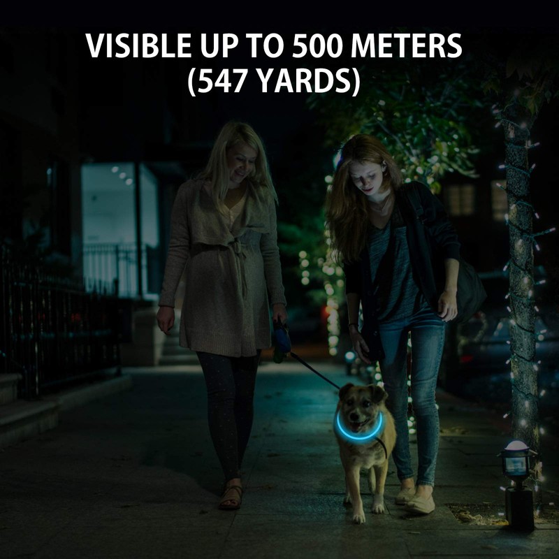 Novkin 2-Pack LED Dog Collar, Light Up Dog Collars,Rechargeable Dog