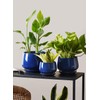 LE TAUCI Plant Pots with Drainage Holes and Saucers, 4.1"