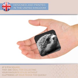 Destination Vinyl ltd Fridge Magnet bw - Hedgehog Garden Wildlife British #40930