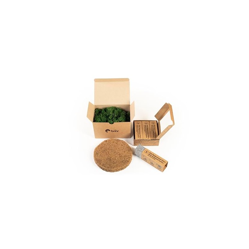 Briiv - Air Purifier Filter Replacement Pack - One Year