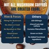 Monkey Brew Rise & Focus USDA Organic Mushroom Coffee |
