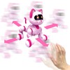 fisca Remote Controlled Robot Cat for Children - RC Stunt