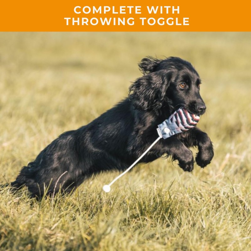 The Original Clone® Realistic Game Bird Dog Training Dummies -