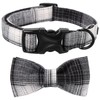 Lionet Paws Gird Dog Collar with Plastic Buckle, Cotton Fall