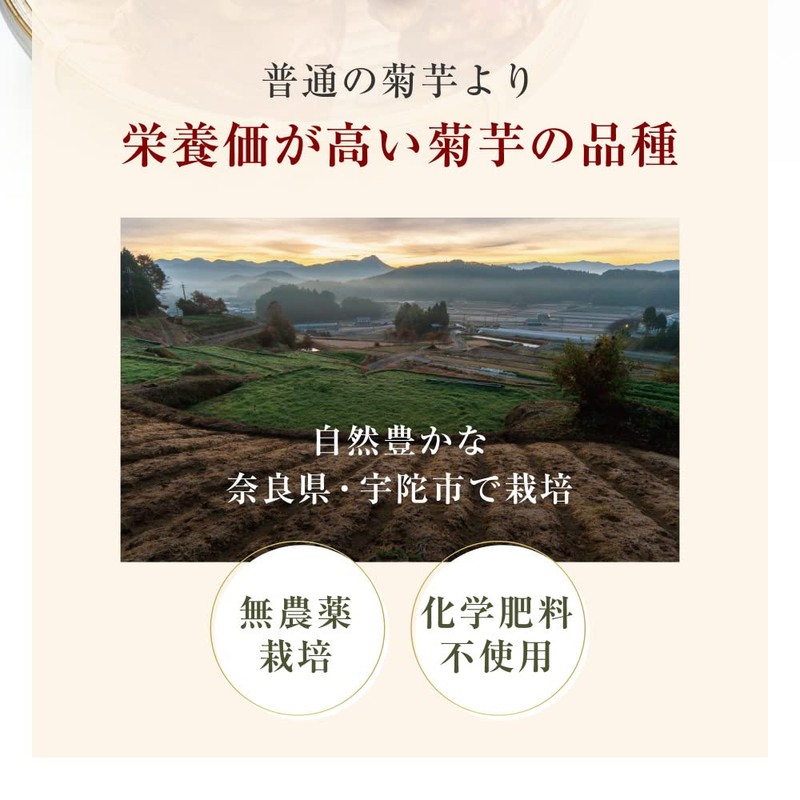 オーガライフ 紫 菊芋パウダー 風土日和 イヌリン 国産 無添加 糖質 食物繊維 100g