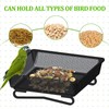 Bird Feeder for Birds, Feeder for Birds, Metal Feeder for