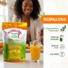 Nopalina Piña 454 g Suplemento Alimenticio de Fibra con Linaza