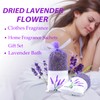 8 Packs French Lavender Sachets for Drawers and Closets Fresh