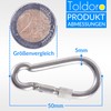 Toldoro® Niro AISI 316 V4A Stainless Steel Carabiner with Screw