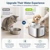 4L Wireless Pet Water Fountain for Cats & Dogs –