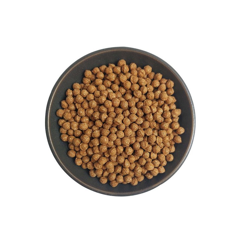 Hello Green 헬로우그린 국산 유근피환 300g(통) 국내산 왕느릅나무뿌리껍질 95% 함유!