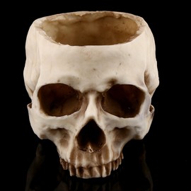 Human Skull Bowl Food Safe,Gothic Stained Glass + 1pc Resin Skull Head Design Flower Pot Planter Container Deco ion