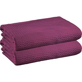 Erwin Müller Summer Blanket, Cotton Blanket, Pack of 2, Airy, Light, Soft Quality, Very Comfortable, Berry, Size 100 x 150 cm, Other Colours and Sizes, 100% Cotton