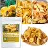 Dried Sliced Chanterelle Mushrooms - 2.5 oz, All-Natural Chanterelle for