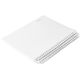 Numbered Dividers 1-100 Punched